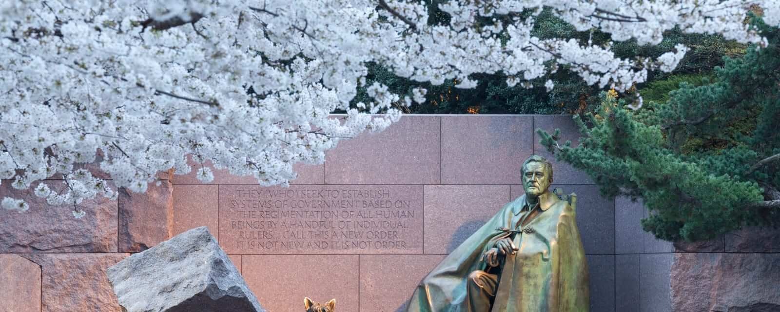 Early Japanese cherry blossoms surround the floodlit monument to Franklin Delano Roosevelt in DC