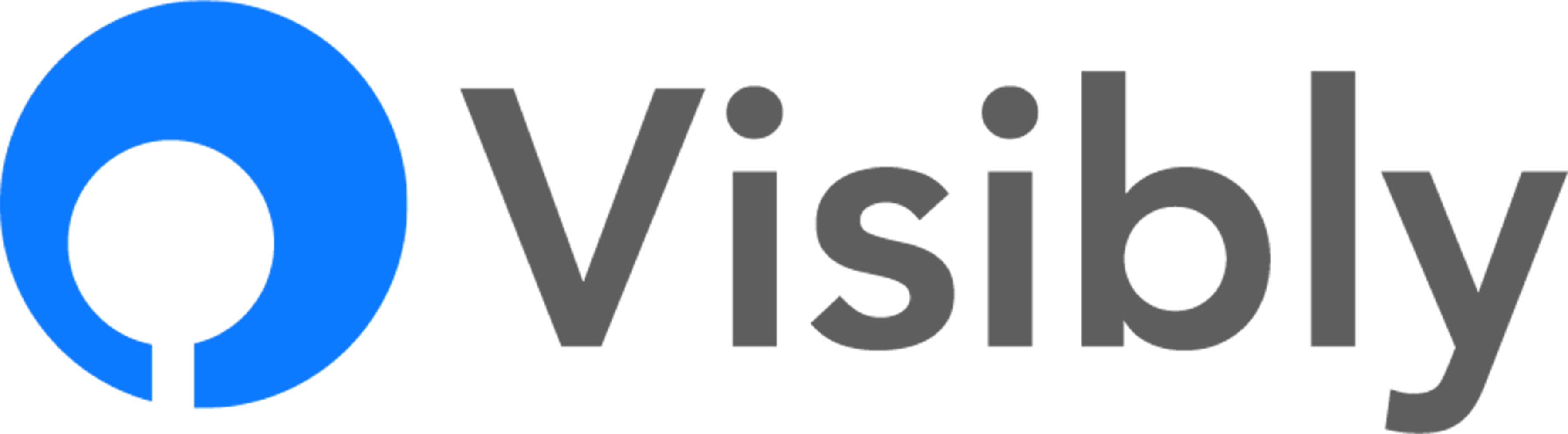 Visibly Logo