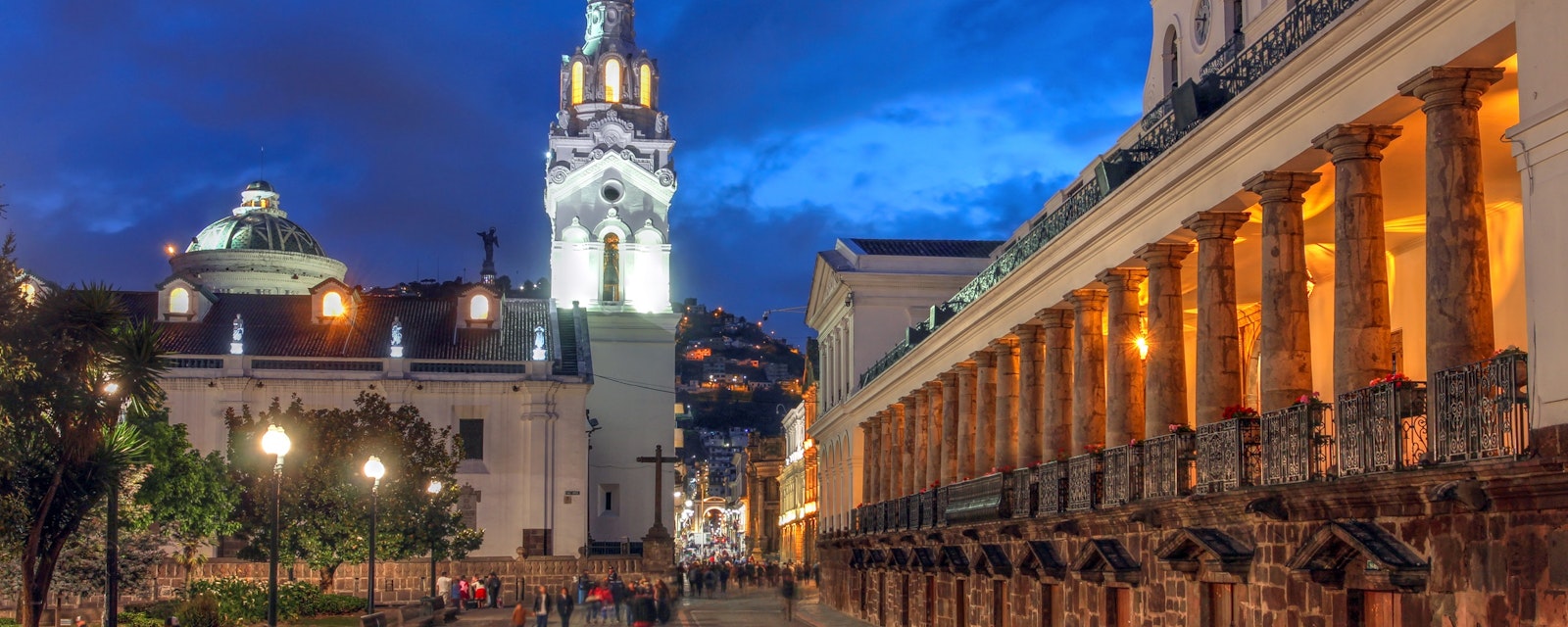 Night,Scene,Of,Plaza,Grande,(plaza,De,La,Independencia),In