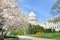The,Capitol,In,Spring,Season,-,Washington,Dc,,United,States