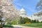Teneo Insights Webinar: President Biden’s First 100 Days