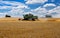 Harvesters,Work,In,The,Wheat,Harvesting,Field,In,Ukraine