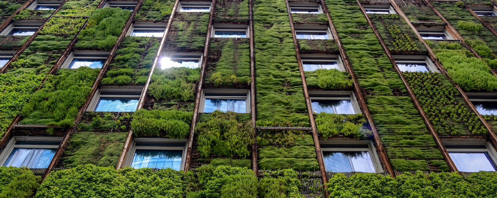 Wall,Of,High-rise,Building,Covered,With,Plants,,Reflection,Of,Sunlight