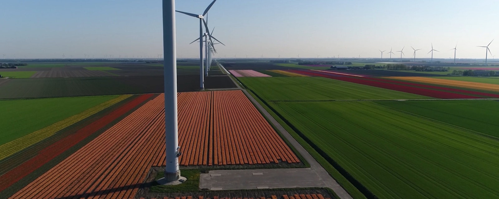 Aerial,Photo,Of,Wind,Turbines,Located,At,Tulip,Fields,Polder