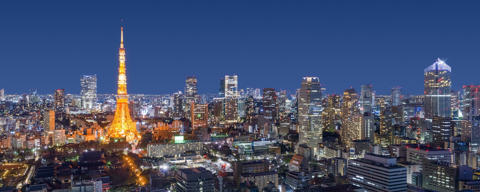 Tokyo,,Japan,Modern,Urban,Skyline,At,Night,Overlooking,The,Tower.