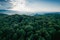 Aerial,Top,View,Forest,Tree,,Rainforest,Ecosystem,And,Healthy,Environment
