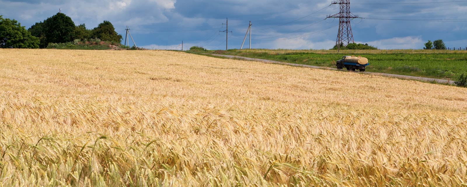 Golden,Wheat,Field,In,Ukraine,,Peaceful,Happy,Ukraine,Before,Russian