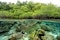 Mangrove,Forest,And,Coral,Reefs,In,Split,Shot,,Gam,Island