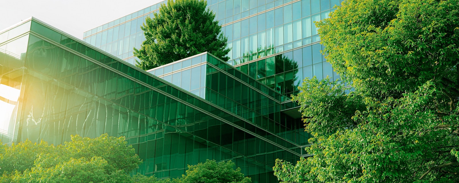Sustainable,Green,Building.,Eco-friendly,Building.,Sustainable,Glass,Office,Building,With